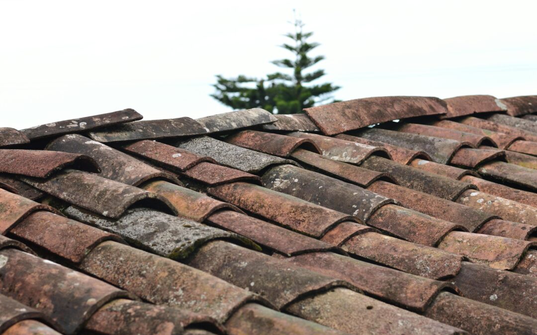 What to Expect During Your Free Roof Inspection
